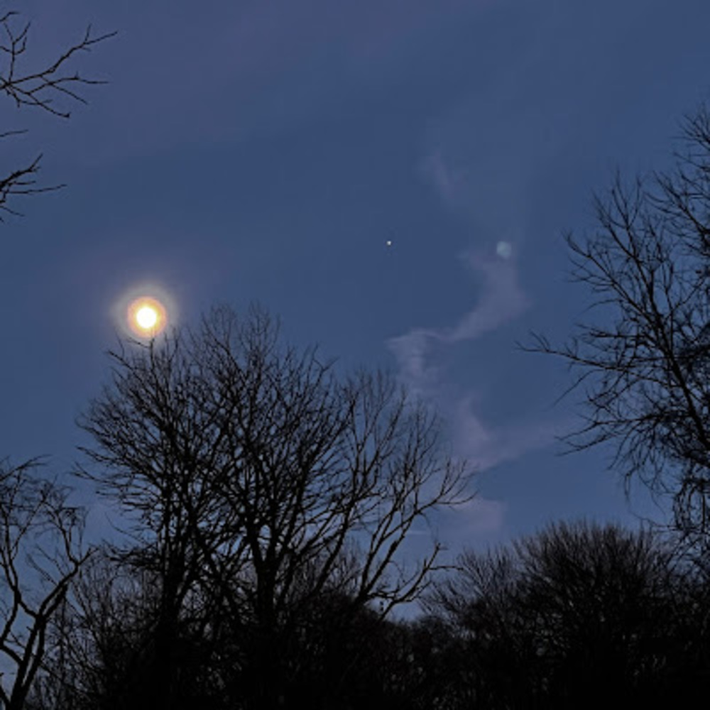 Meet your Posher, Hana